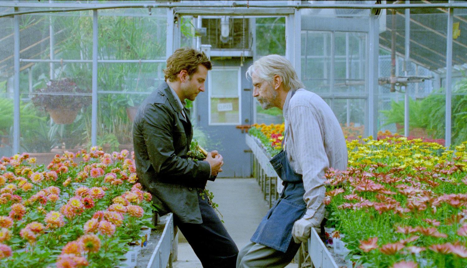 Jeremy Irons, Bradley Cooper