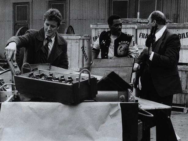 Eddie Murphy,Judge Reinhold
