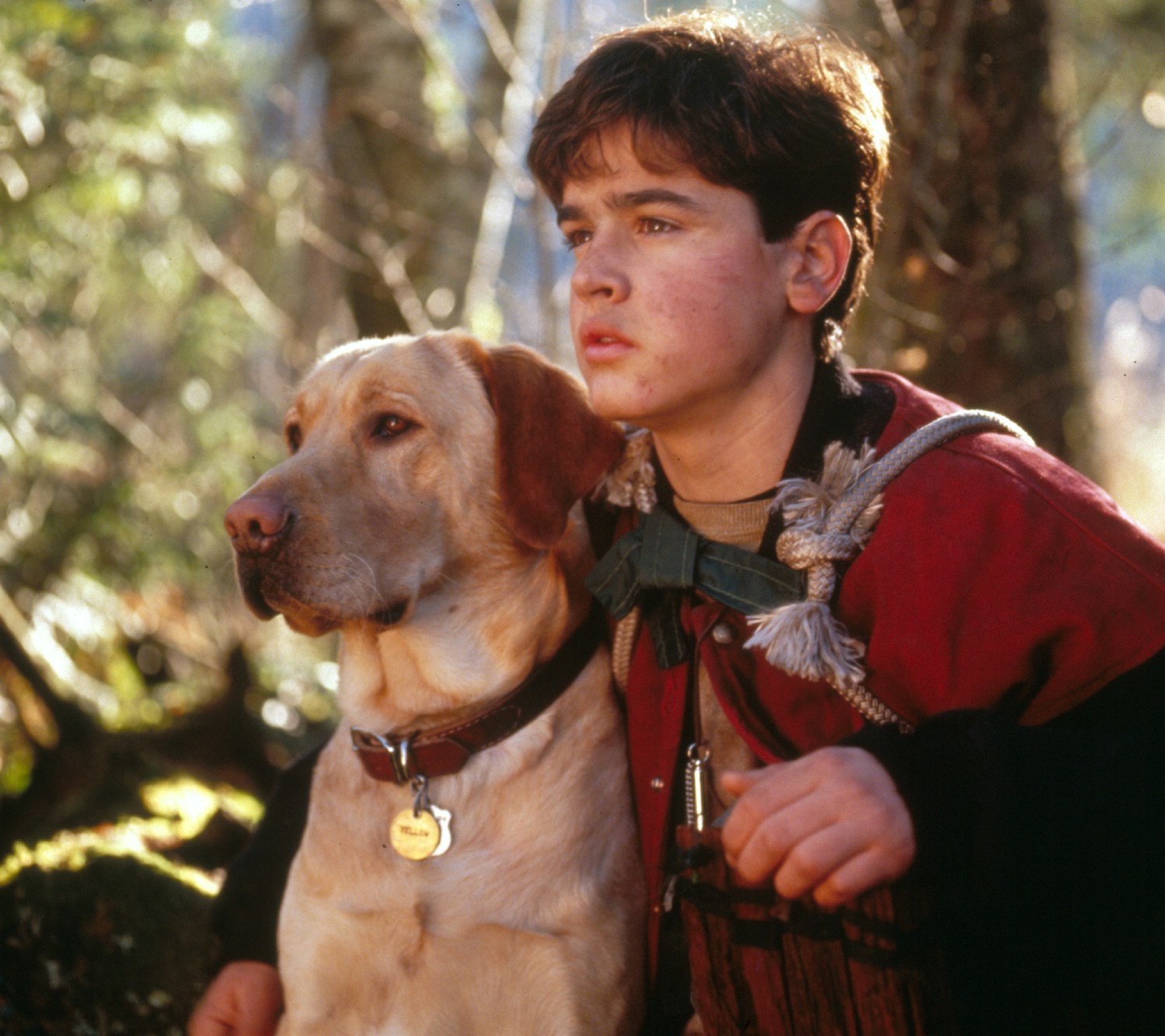 Наездник на собаке. Jesse Bradford 1995. .Приключения жёлтого пса.1995.