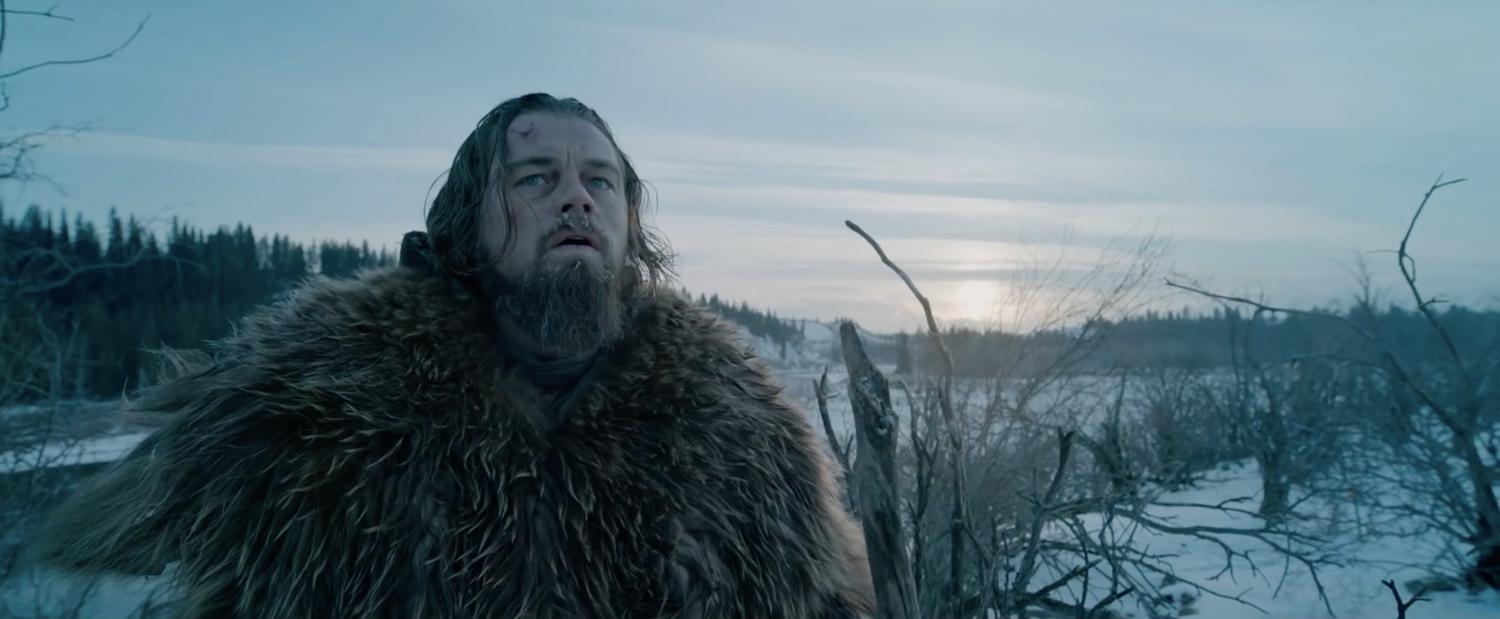 Leonardo DiCaprio