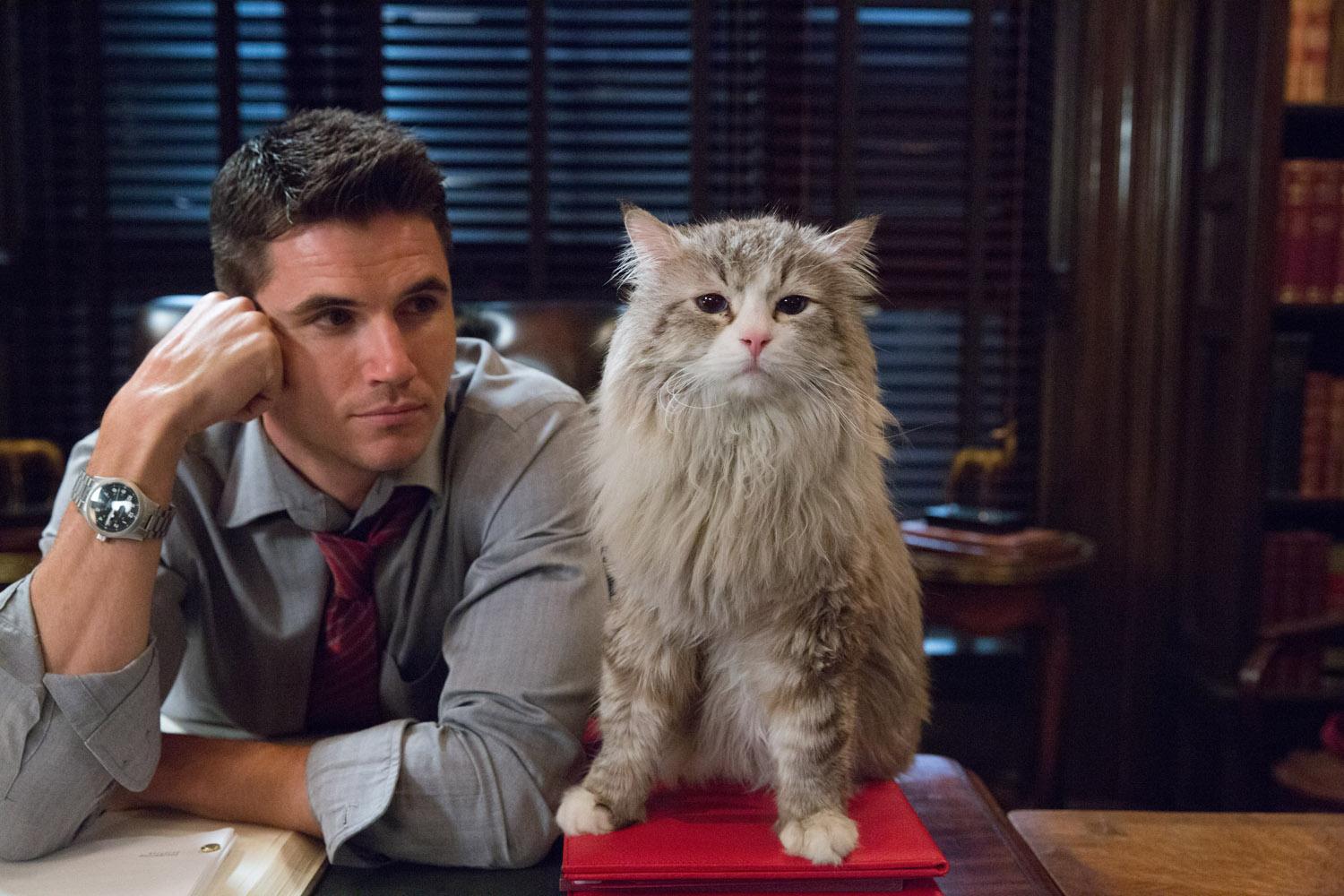 Robbie Amell