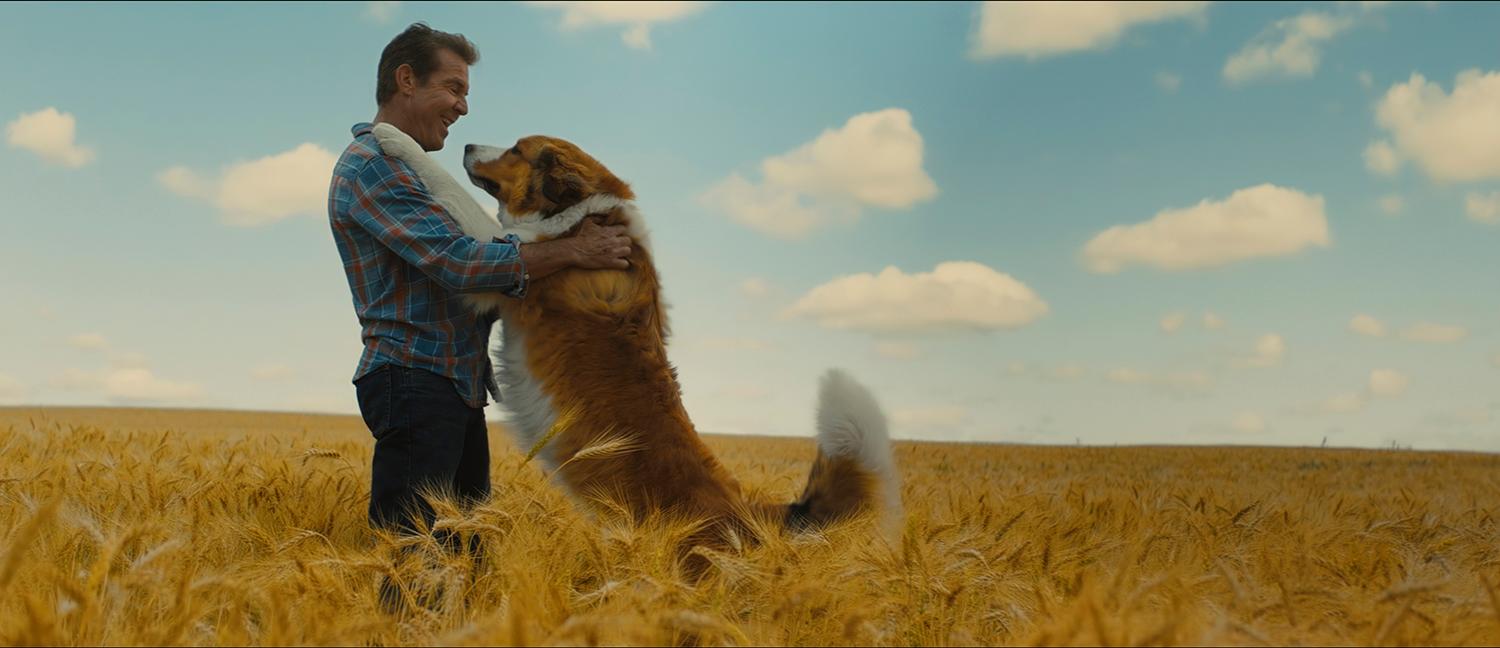 Dennis Quaid